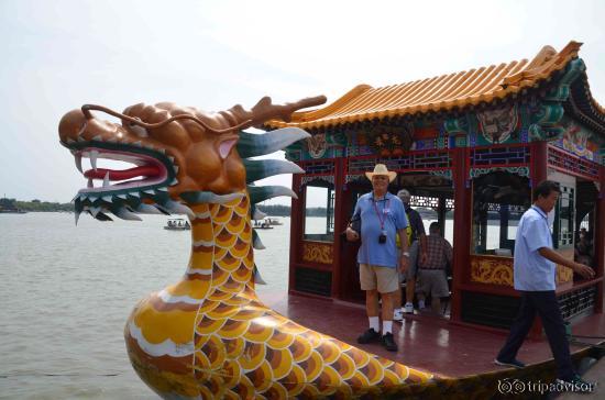 "One friendly dragon"