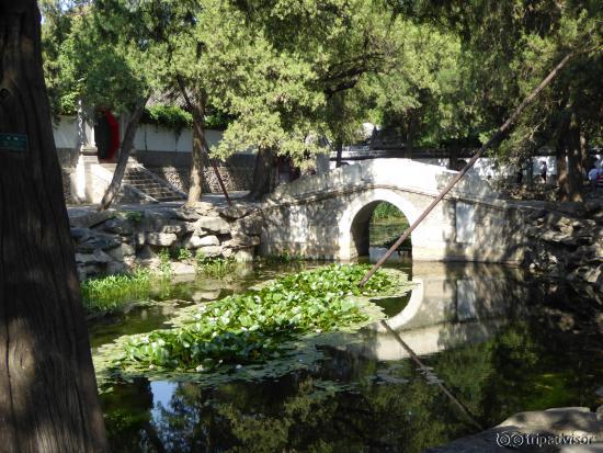 Summer Palace