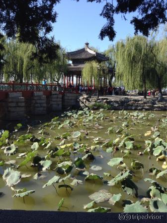 The Lake Summer Palace with views to the temple