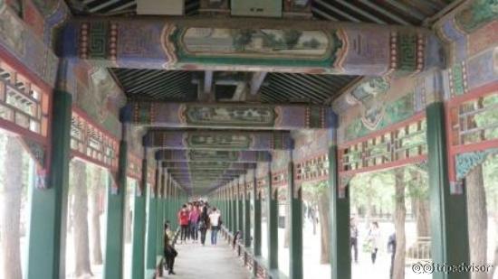 The wooden roof