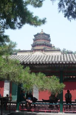 Tower of Fragrant Buddha