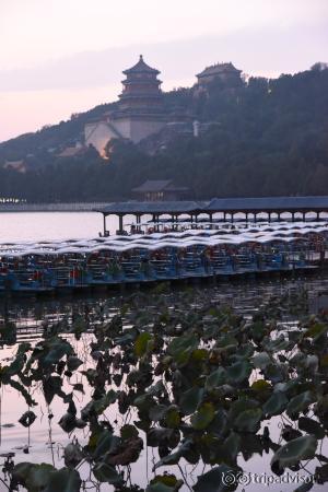 Twilight at the lake