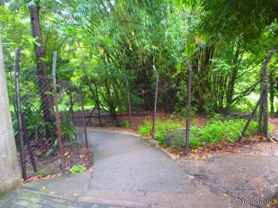 This is where the yellow sign used to be. Just follow the path and you will see the Buddhas