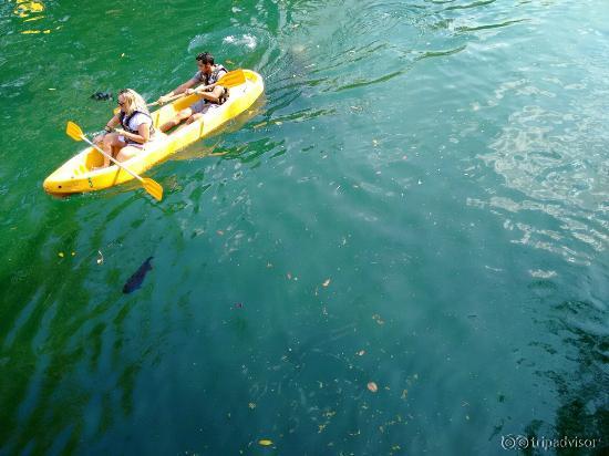 canoa e lago de mergulho