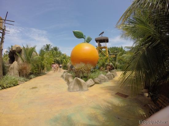 caminho do rio selvagem