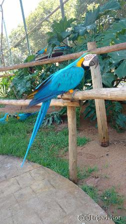 O parque tem um mini zoológico e fazendinha ótimo para quem gosta de natureza __SMCL__)