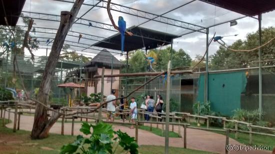 Próximo da natureza