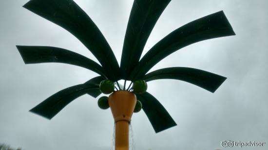 Coqueiro do parque infantil