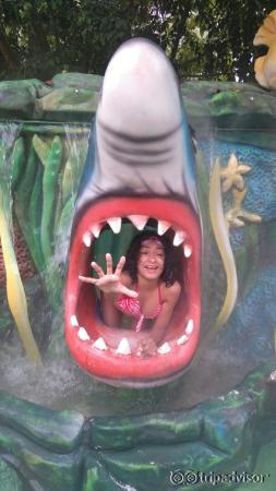 Thermas dos Laranjais