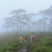 อุทยานแห่งชาติภูสอยดาว