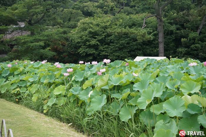 Sankeien Garden