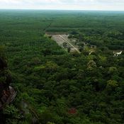 ภาพด้านบนภูทอก