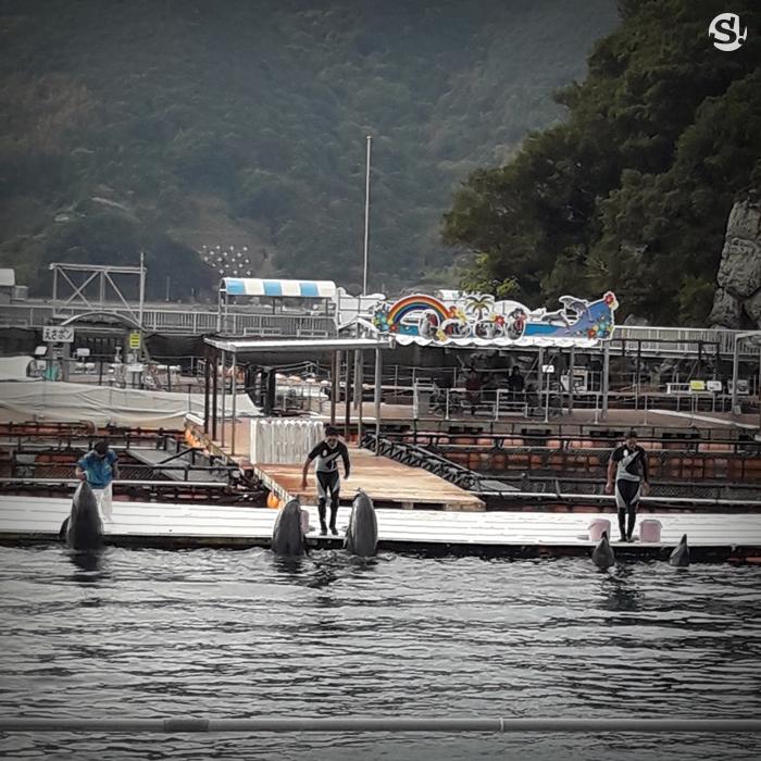 Tsukumi Dolphin Island เกาะแห่งโลมา ปลาดาว เพนกวิน