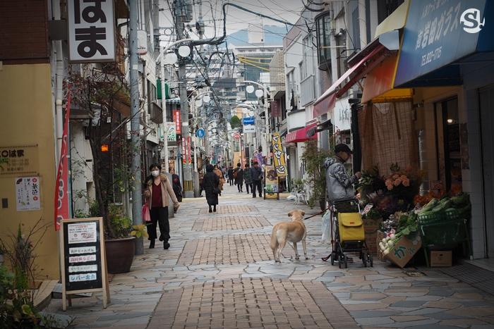 เยือนเมืองเก่า “Nagasaki” 