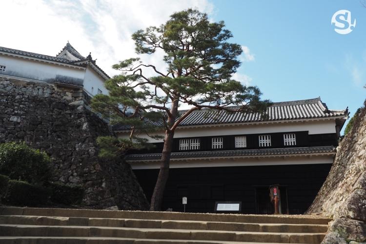 ปราสาทโคจิ (Kochi Castle)