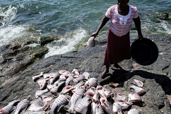 รวมรูปภาพของ พาไปชม Migingo Island เกาะที่มีความแออัดมากที่สุดในโลก! รูปที่ 8 จาก 19