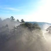 อุทยานแห่งชาติภูเรือ - Phu Ruea National Park 