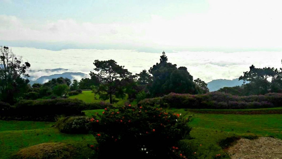 ทะเลหมอกมาแล้ว "อุทยานแห่งชาติห้วยน้ำดัง"