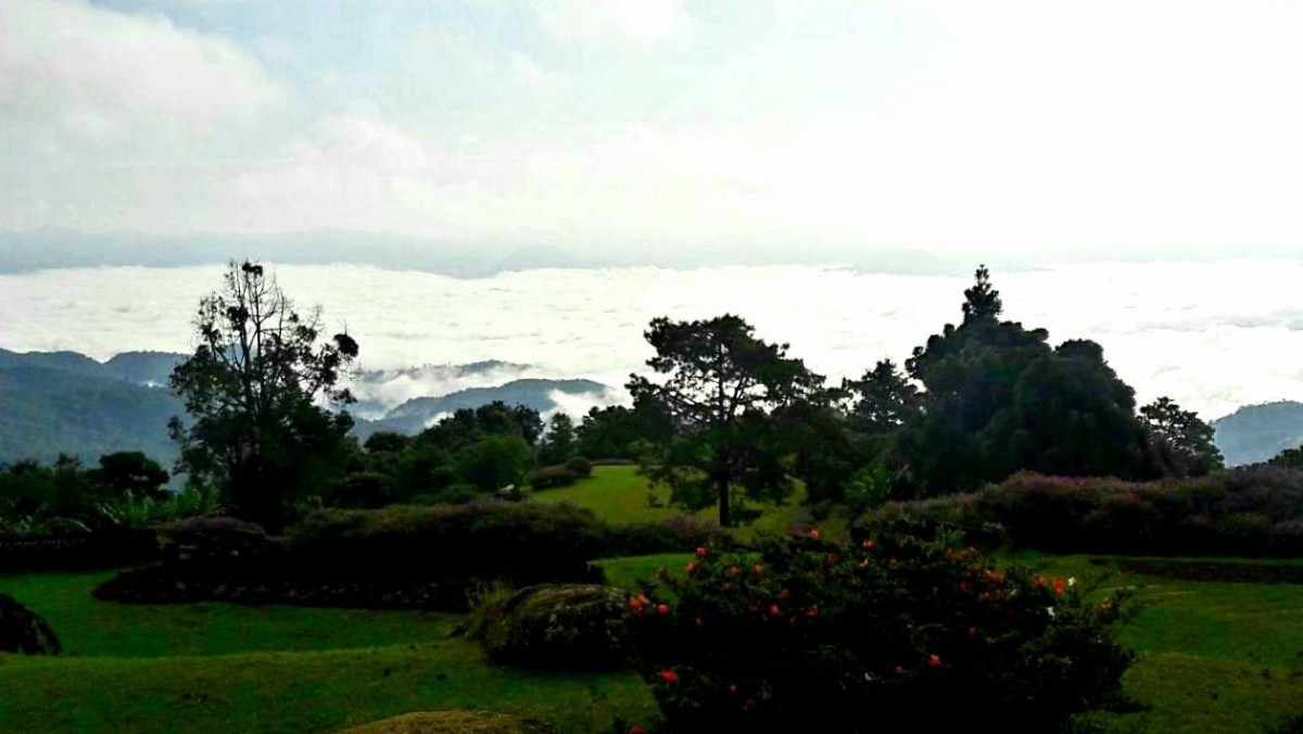 ทะเลหมอกมาแล้ว "อุทยานแห่งชาติห้วยน้ำดัง"