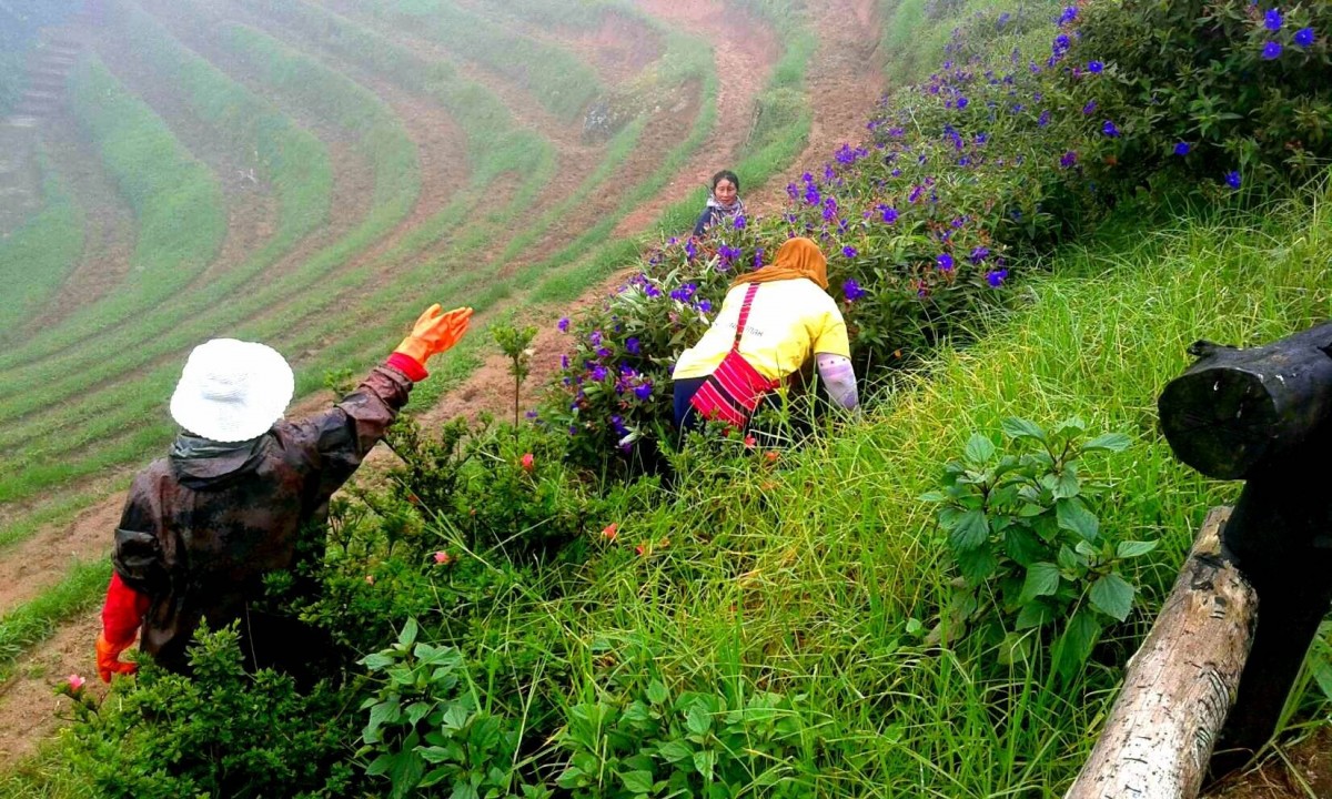 ทะเลหมอกมาแล้ว "อุทยานแห่งชาติห้วยน้ำดัง"