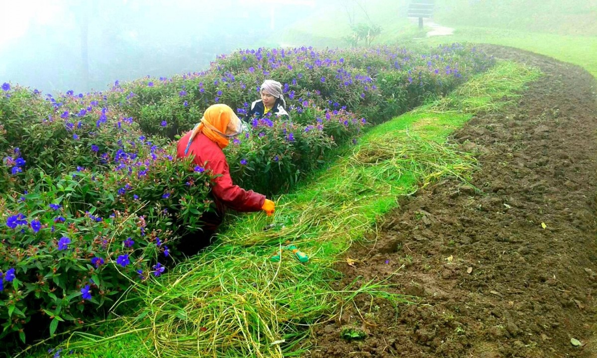 ทะเลหมอกมาแล้ว "อุทยานแห่งชาติห้วยน้ำดัง"