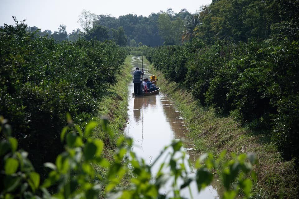 "นั่งเรือชมสวน ชิมส้มสด" 1 ตคนี้ สวนส้มเจ้าจอมขวัญเตรียมเปิดสวนรับนักท่องเที่ยว