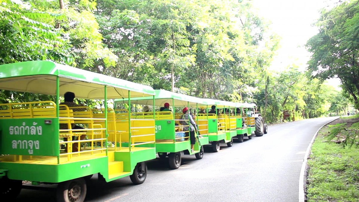 ชวนชิวนั่งรถไฟรอบอุทยานหินเขางู ชมวิวให้อาหารลิงกลางคืนชมหิ่งห้อย