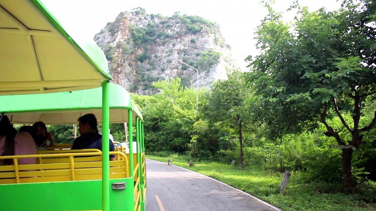 ชวนชิวนั่งรถไฟรอบอุทยานหินเขางู ชมวิวให้อาหารลิงกลางคืนชมหิ่งห้อย