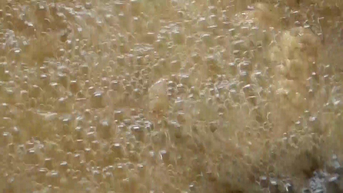 "หมูอาปา" สูตรเด็ด 100 ปี จากซัวเถา เนื้อนุ่มหอมละมุน อร่อยระดับภัตตาคาร