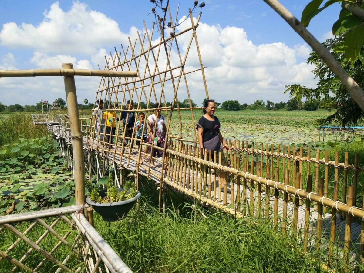 สะพานข้ามบารายสวรรค์ ชมพระอาทิตย์ สูดลมหนาว ท่ามกลางทุ่งดอกบัว
