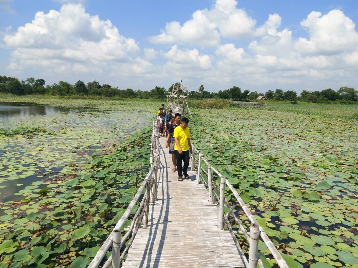 สะพานข้ามบารายสวรรค์ ชมพระอาทิตย์ สูดลมหนาว ท่ามกลางทุ่งดอกบัว