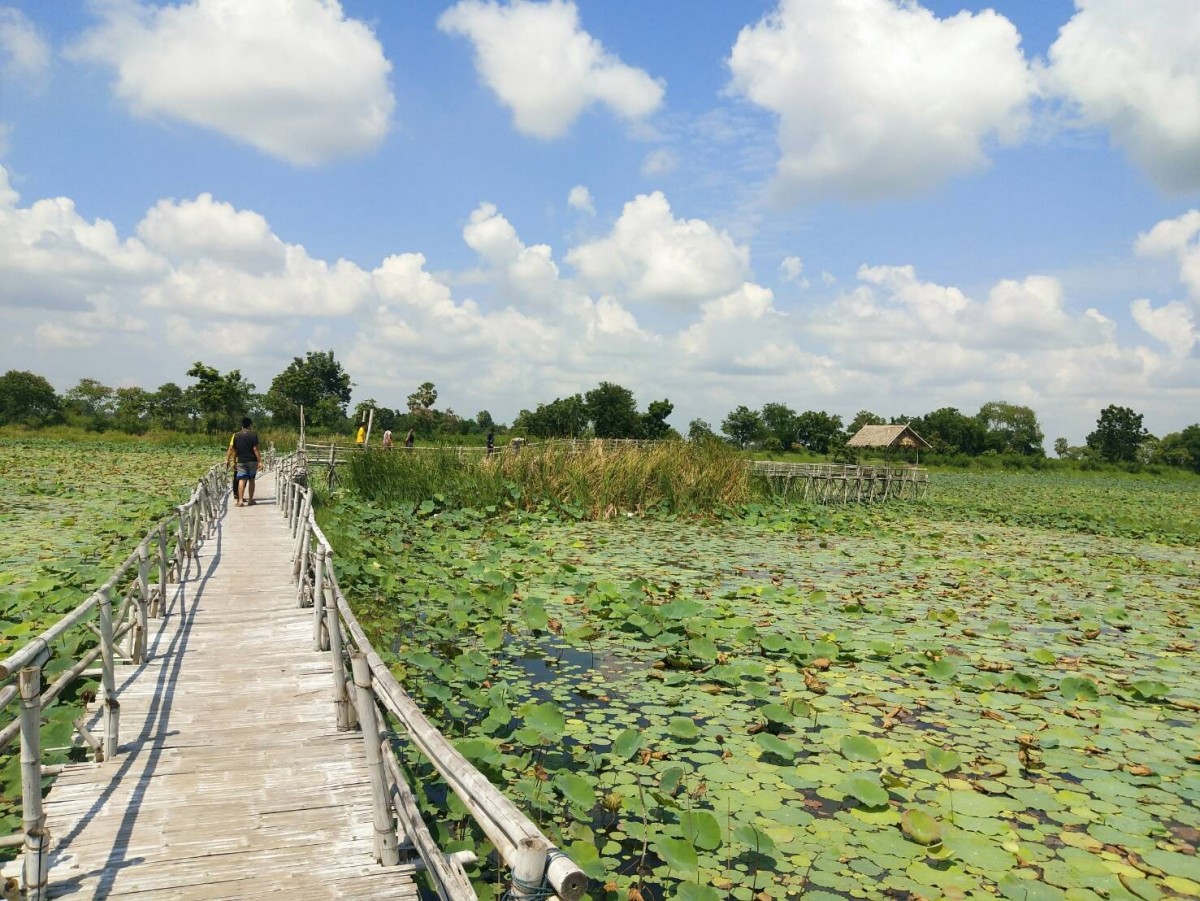 สะพานข้ามบารายสวรรค์ ชมพระอาทิตย์ สูดลมหนาว ท่ามกลางทุ่งดอกบัว