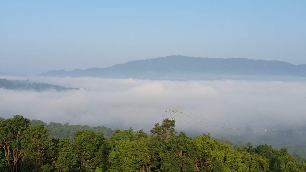 "ด่านซ้าย" อากาศเริ่มเย็น ทะเลหมอกปกคลุมสุดลูกหูลูกตา พร้อมสะกดสายตานักท่องเที่ยว