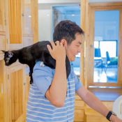 ชวนเที่ยว "Mao Mao Cat Pattaya" โรงแรมแมวแห่งใหม่ในพัทยา