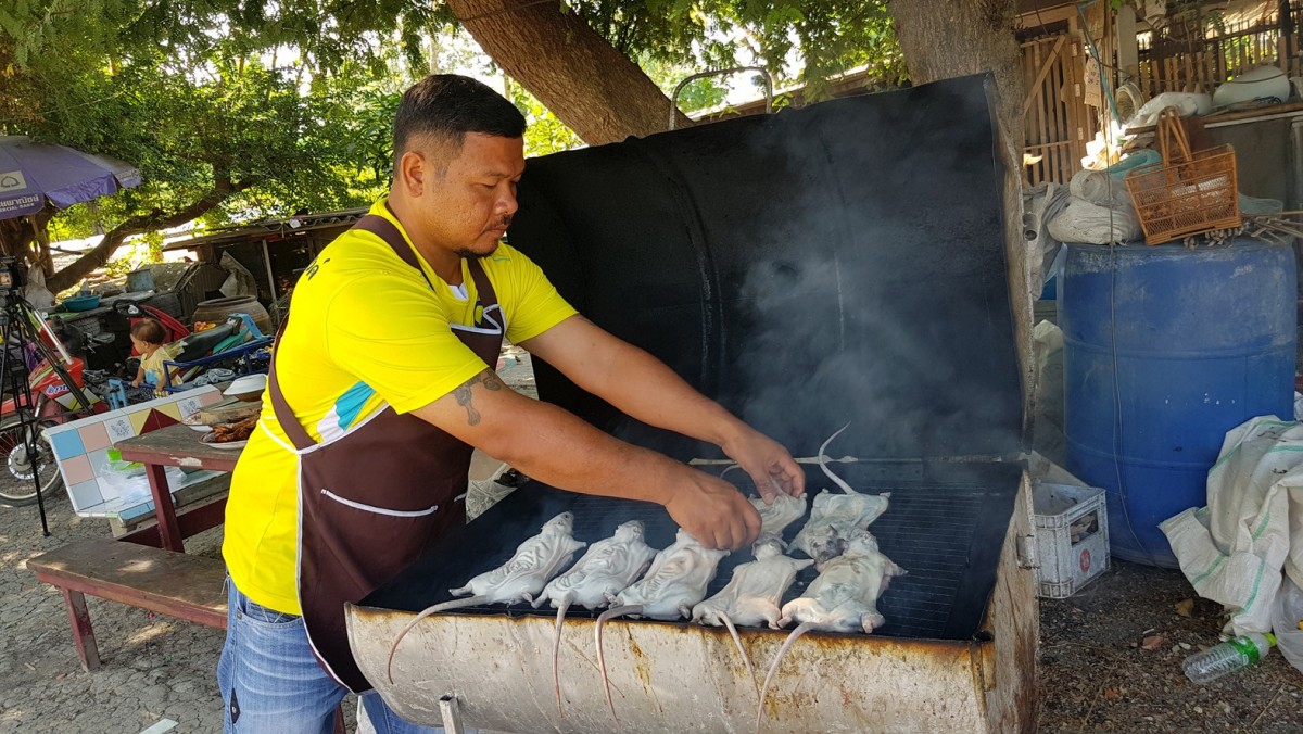 ชวนชิม หนูหันรสเด็ดหอมอร่อย เนื้อนุ่มหนังกรอบ