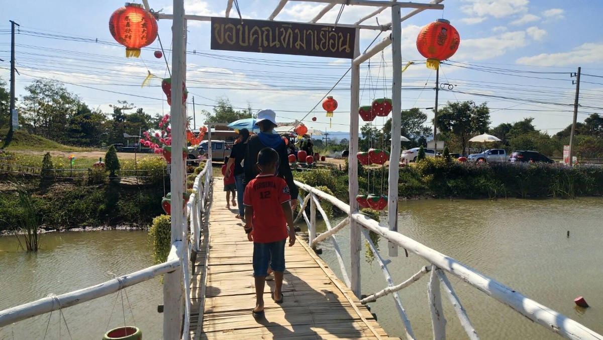 ชมสวนสตรอว์เบอร์รี สัมผัสอากาศหนาวที่วังน้ำเขียว