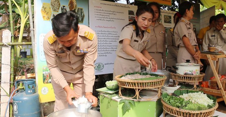 แปลกน่ากิน ขนมจีนจิ้งหรีดน้ำยาป่า เมนูเด็ดบ้านแสนตอ