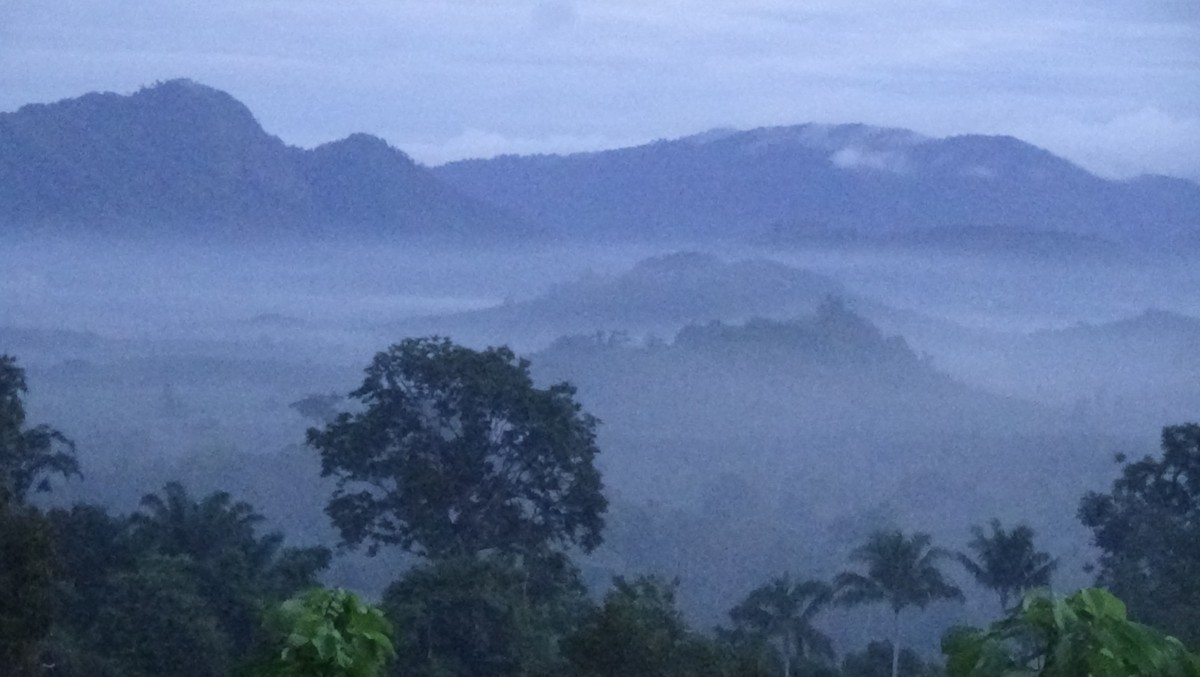 จุดชมวิวภูกะโดน ชมความงามทะเลหมอกเทือกเขาสันกาลาคีรี
