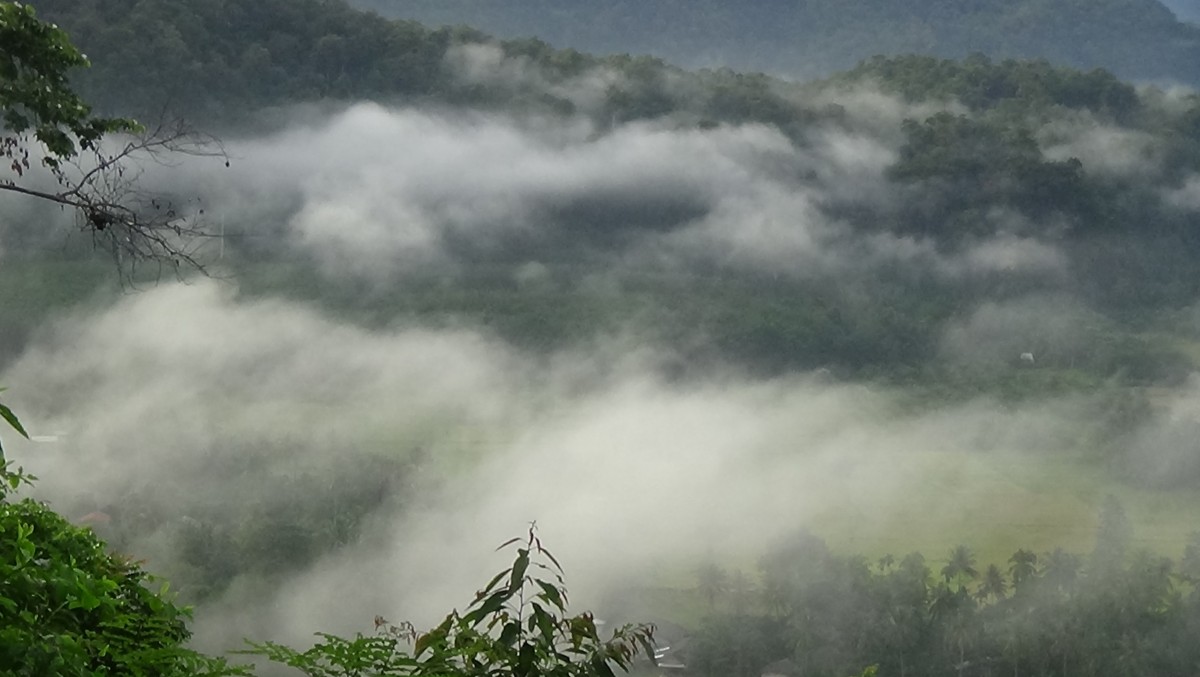 จุดชมวิวภูกะโดน ชมความงามทะเลหมอกเทือกเขาสันกาลาคีรี