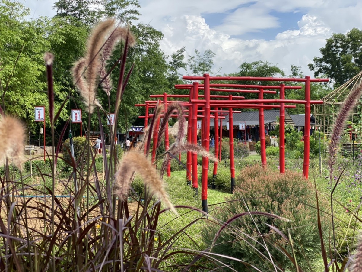แวะเที่ยวเมืองญี่ปุ่น สวนคาโนนะ สวนลุงไกร ซื้อข้าวเกรียบเห็ดหอม