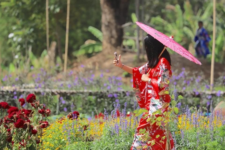 แวะเที่ยวเมืองญี่ปุ่น สวนคาโนนะ สวนลุงไกร ซื้อข้าวเกรียบเห็ดหอม