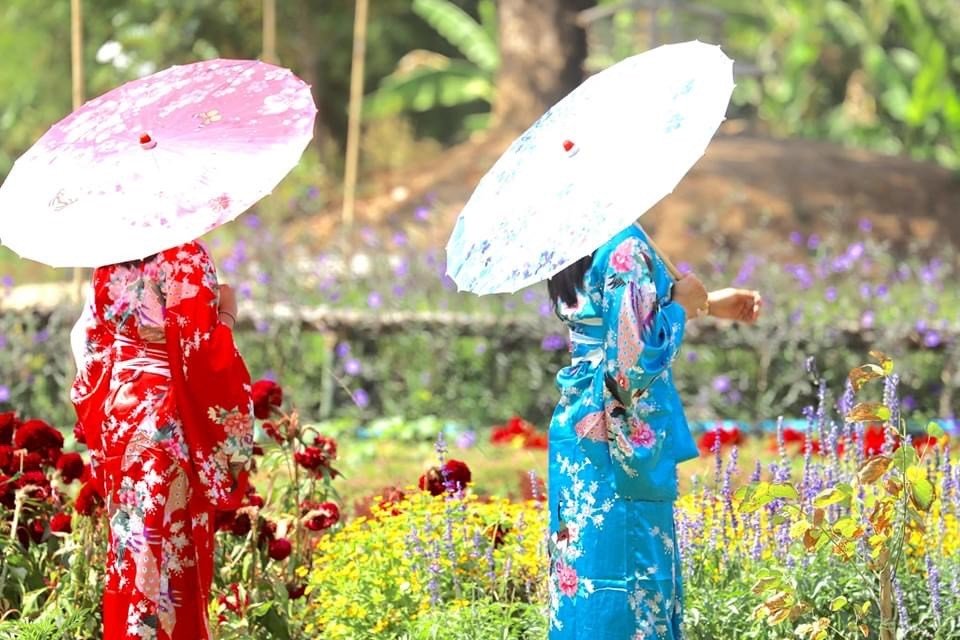 แวะเที่ยวเมืองญี่ปุ่น สวนคาโนนะ สวนลุงไกร ซื้อข้าวเกรียบเห็ดหอม