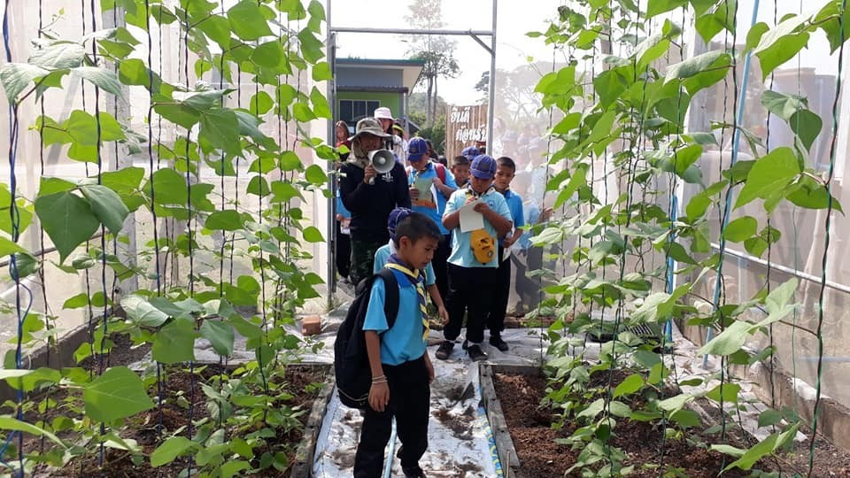 นั่งได้จริง ใบบัวยักษ์ แหล่งท่องเที่ยวแห่งใหม่ค่ายทหาร