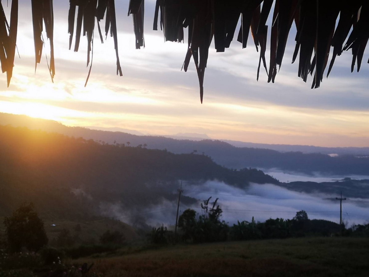 ชมทะเลหมอกท่ามกลางดอกไม้ บนเนินภูทับสี่ บ้านน้ำจวง