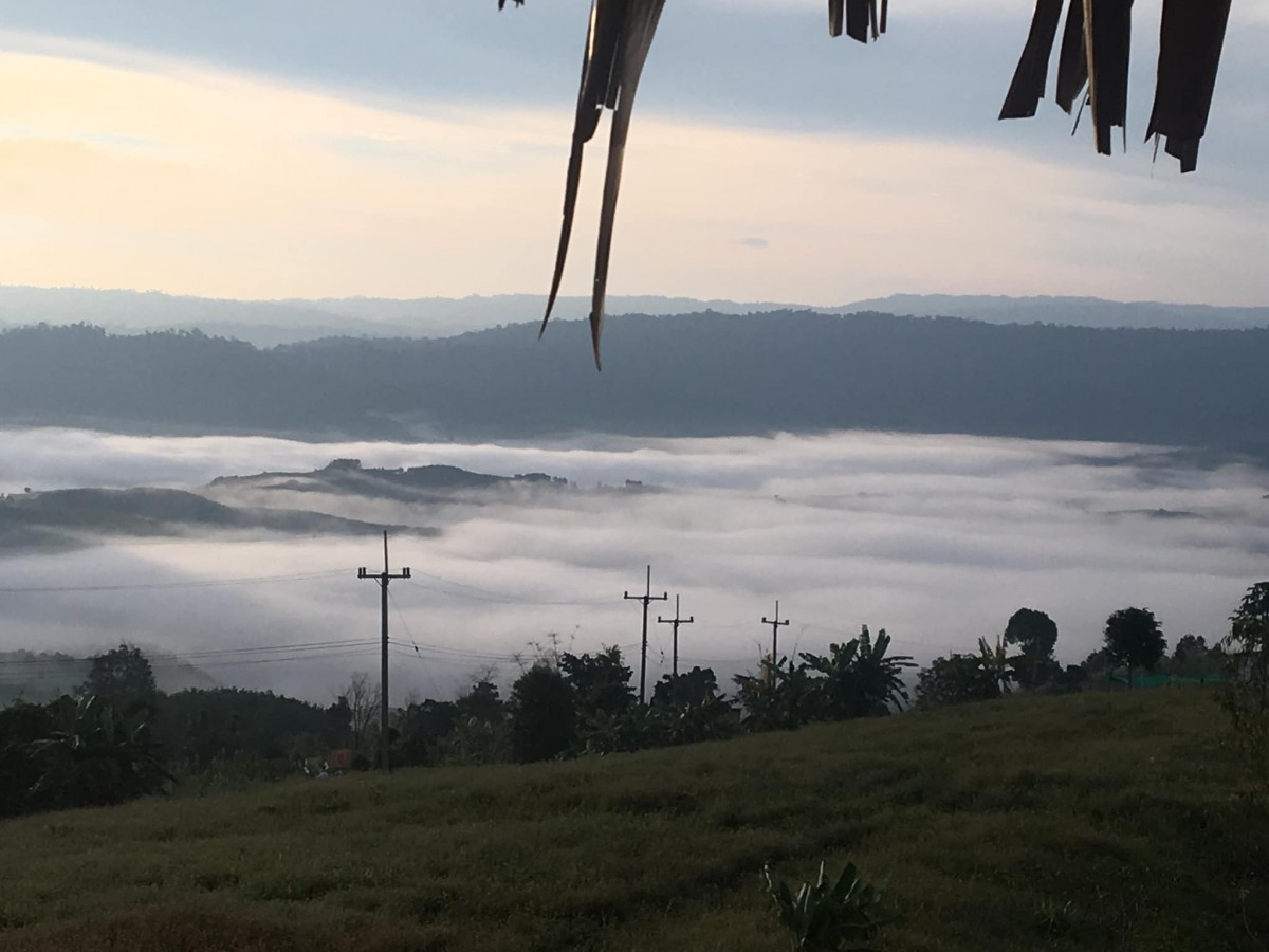 ชมทะเลหมอกท่ามกลางดอกไม้ บนเนินภูทับสี่ บ้านน้ำจวง