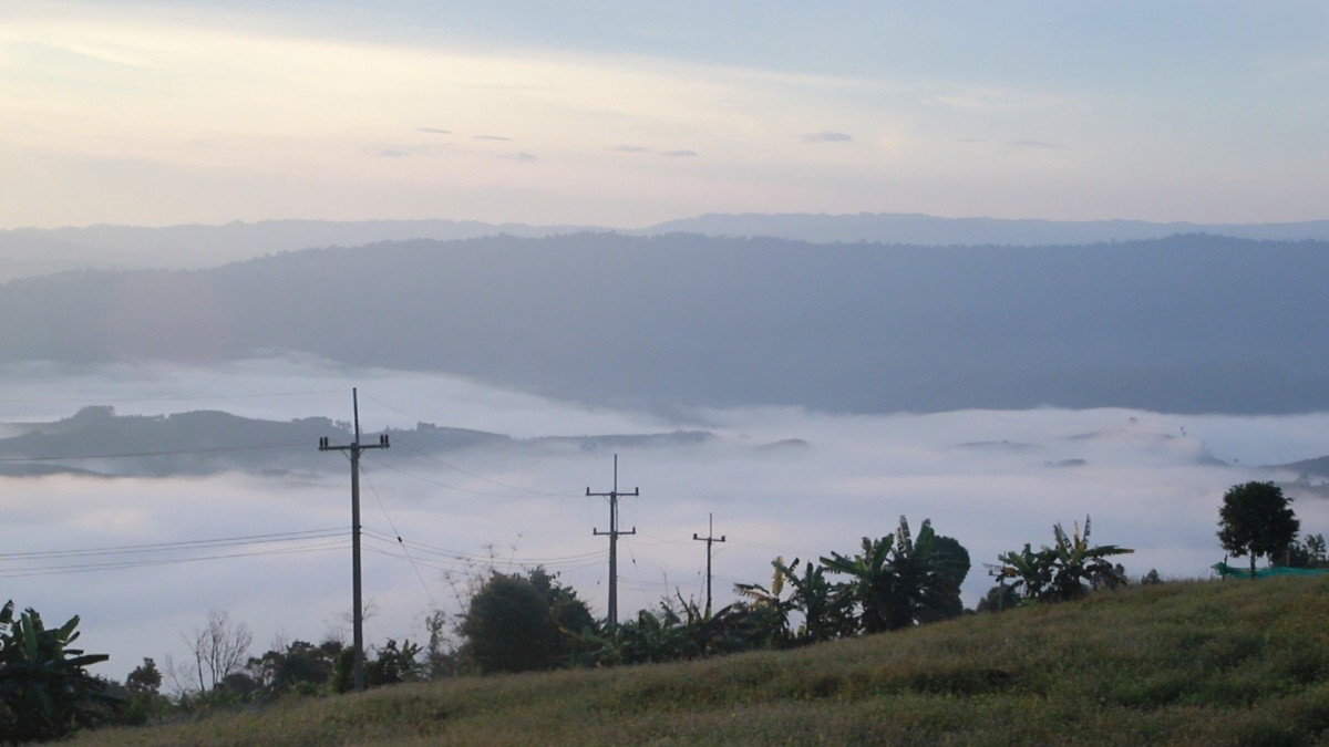 ชมทะเลหมอกท่ามกลางดอกไม้ บนเนินภูทับสี่ บ้านน้ำจวง