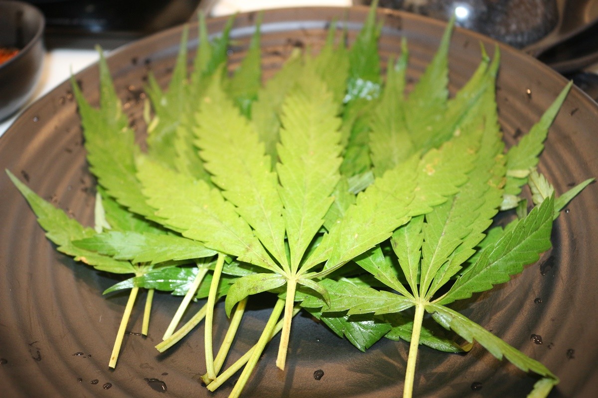 เอาใจสายเขียว ร้านชาบูนำกัญชาเมนูเด่น ชูน้ำซุปอารมณ์ดียำขำขัน