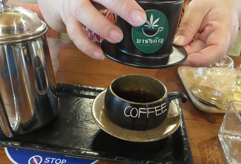เอาใจสายเขียว ภูมิภูเบศรชวนชิม "กาแฟกัญชาเจ้าแรกในประเทศไทย"