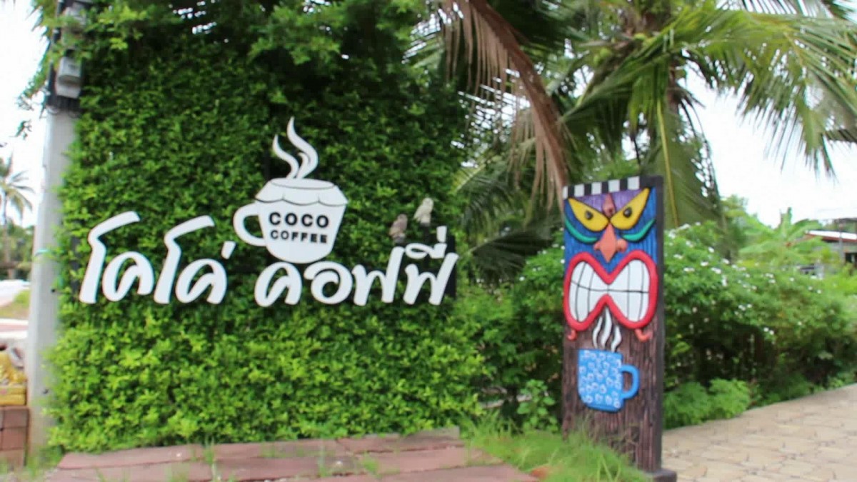 พาไปชิม กาแฟน้ำมะพร้าวอ่อน บรรยากาศท่ามกลางสวนมะพร้าว