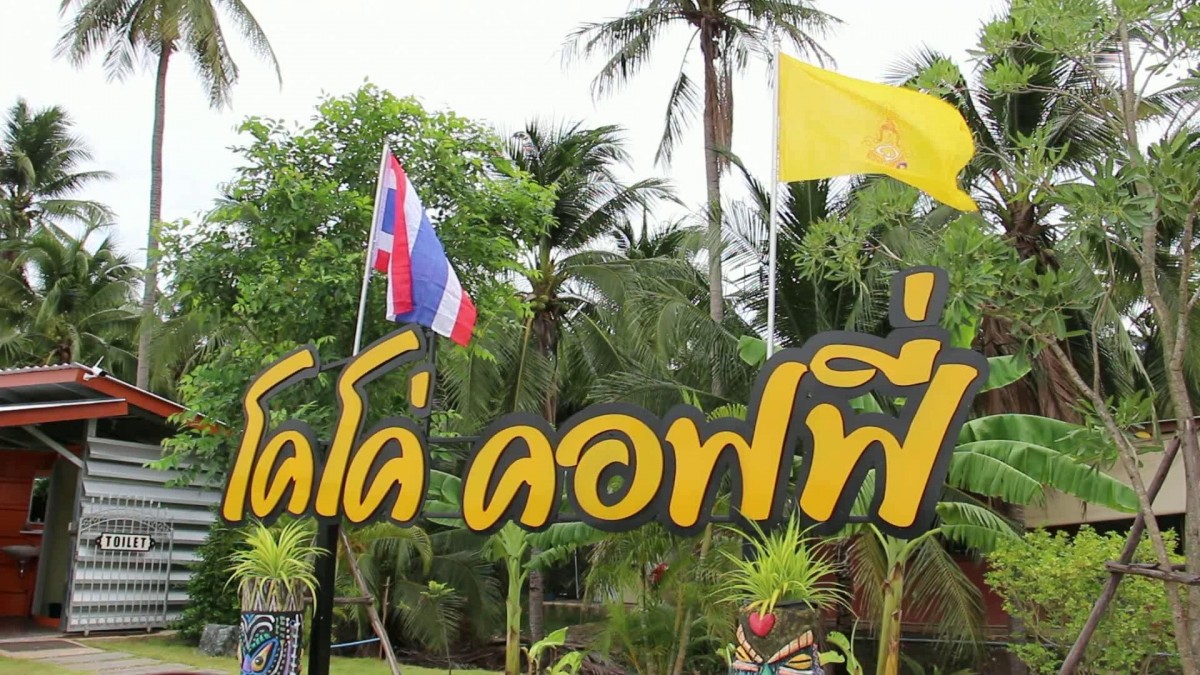 พาไปชิม กาแฟน้ำมะพร้าวอ่อน บรรยากาศท่ามกลางสวนมะพร้าว